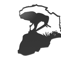 AFRICA ELEPHANT - Thumbnail 2