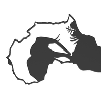 AFRICA ELEPHANT - Thumbnail 4