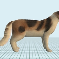 Lovely Cat - Thumbnail 1