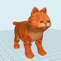 American Short hair Male - Thumbnail 2