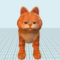 American Short hair Male - Thumbnail 3