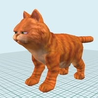 American Short hair Male - Thumbnail 4