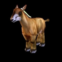 Stupid ass - Thumbnail 1