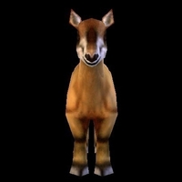 Stupid ass - Thumbnail 2