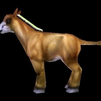 Stupid ass - Thumbnail 3