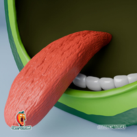 Munch's Avocado - Thumbnail 9