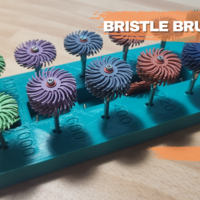 Small Bristle Disc / Brush Tray 3D Printing 512549