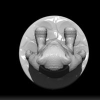 teddy bear - Thumbnail 1