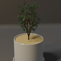 Potted Plant 3D model - Thumbnail 2