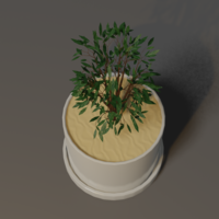 Potted Plant 3D model - Thumbnail 3
