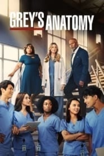 Grey's Anatomy - Season 19 Episode 12 : Pick Yourself Up 3D Print 513697