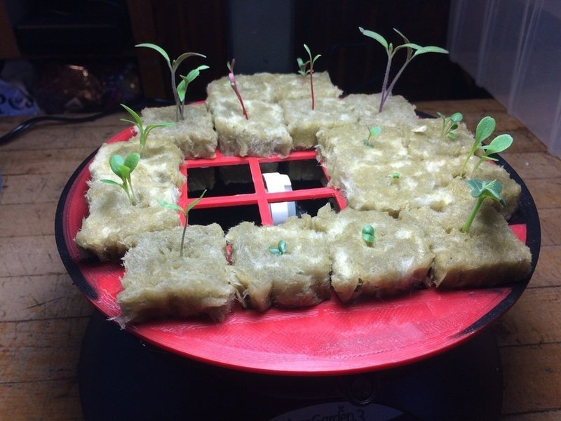 Seed starter for AeroGarden 3 and rockwool cubes