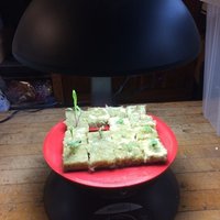 Seed starter for AeroGarden 3 and rockwool cubes - Thumbnail 2