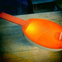 Small Lapulele - A headless ukulele 3D Printing 51411