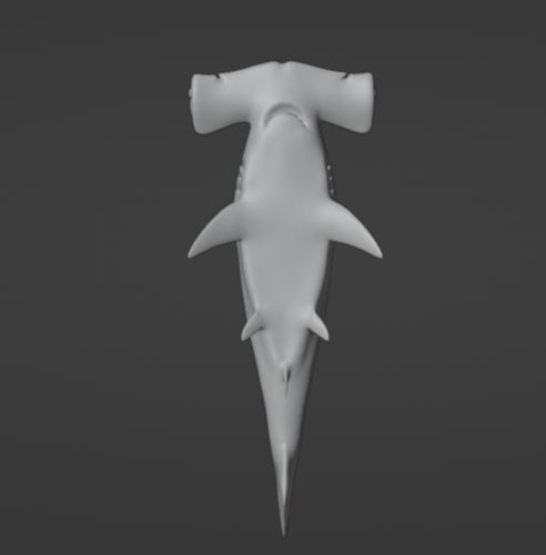 Hammerhead Shark  3D Print 514637