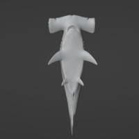 Hammerhead Shark  - Thumbnail 1