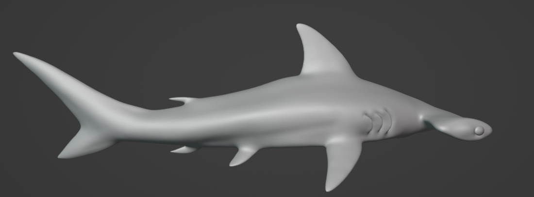 Hammerhead Shark  3D Print 514638