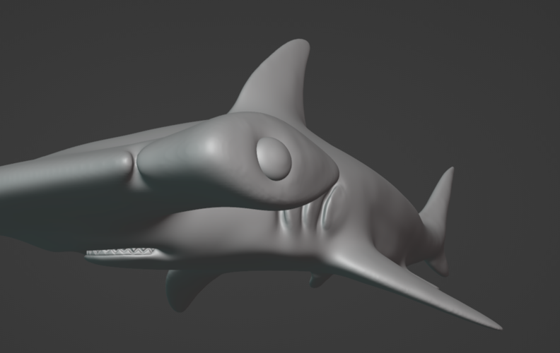 Hammerhead Shark  3D Print 514639