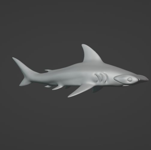 Hammerhead Shark  3D Print 514640