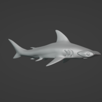 Hammerhead Shark  - Thumbnail 4