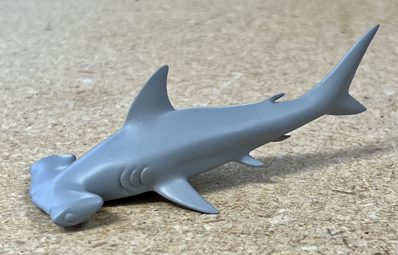 Hammerhead Shark  3D Print 514644