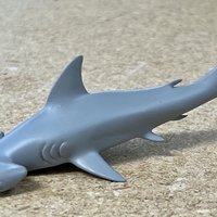 Hammerhead Shark  - Thumbnail 7