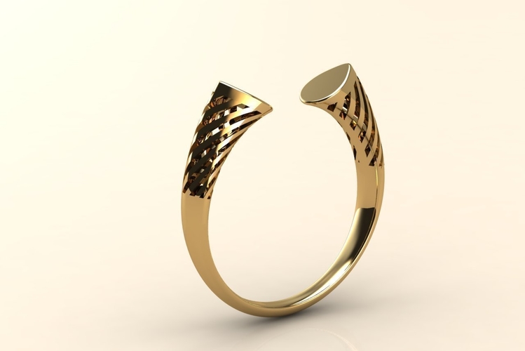 Split ring 003 3D Print 514968