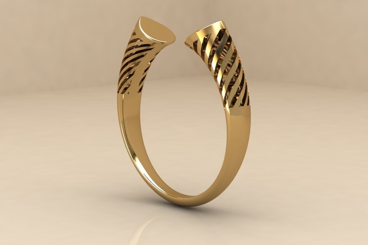 Split ring 003 3D Print 514969