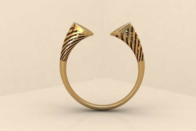 Split ring 003 3D Print 514970