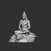 SHIVA - Thumbnail 10