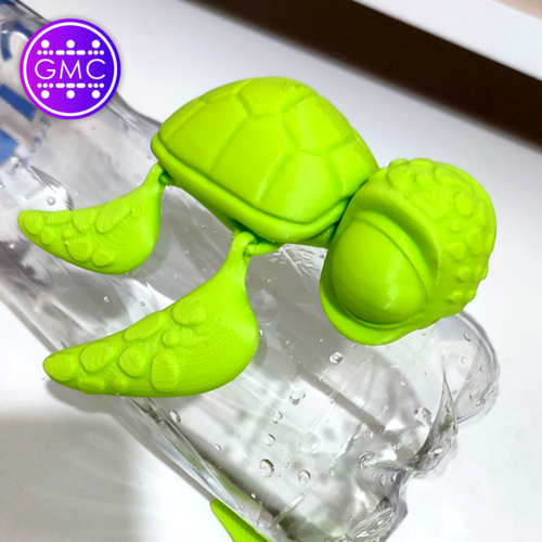 3D Printed FLEXI PRINT-IN-PLACE / TORTUGA NEMO by STUDIO_GMC | Pinshape