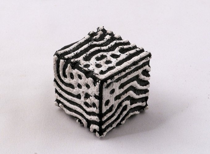 Reaction-Diffusion Cube 3D Print 51589