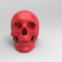 Skull Bank - Thumbnail 3