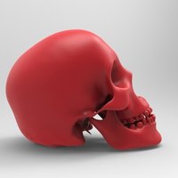 Skull Bank - Thumbnail 5
