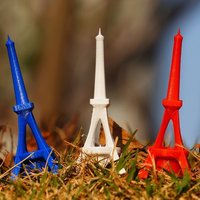 Small Pray for Paris 3D Printing 51710