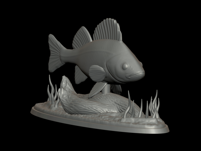 big perch underwater statue detailed texture for 3d printing  3D Print 517119