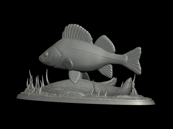 big perch underwater statue detailed texture for 3d printing  3D Print 517120