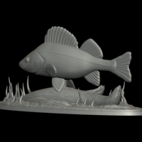 big perch underwater statue detailed texture for 3d printing  - Thumbnail 3