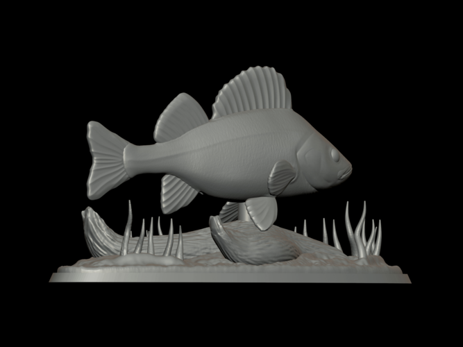 big perch underwater statue detailed texture for 3d printing  3D Print 517121