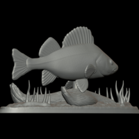 big perch underwater statue detailed texture for 3d printing  - Thumbnail 4