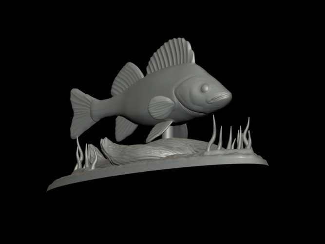 big perch underwater statue detailed texture for 3d printing  3D Print 517122