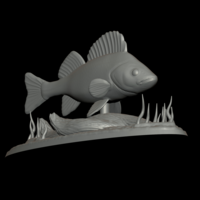 big perch underwater statue detailed texture for 3d printing  - Thumbnail 5