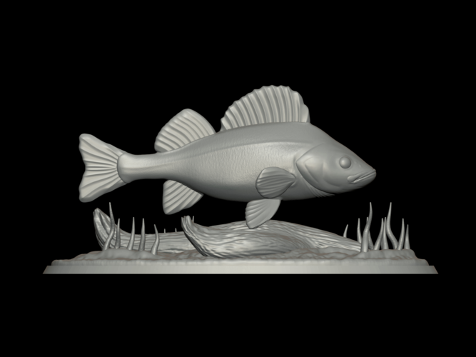 big perch underwater statue detailed texture for 3d printing  3D Print 517123