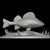 big perch underwater statue detailed texture for 3d printing  - Thumbnail 6