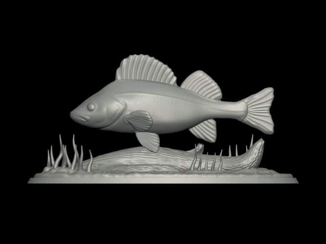 big perch underwater statue detailed texture for 3d printing  3D Print 517124