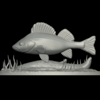 big perch underwater statue detailed texture for 3d printing  - Thumbnail 7
