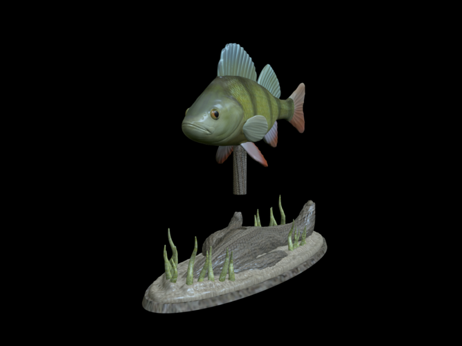 big perch underwater statue detailed texture for 3d printing  3D Print 517125