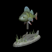 big perch underwater statue detailed texture for 3d printing  - Thumbnail 8