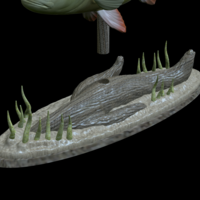 big perch underwater statue detailed texture for 3d printing  - Thumbnail 10