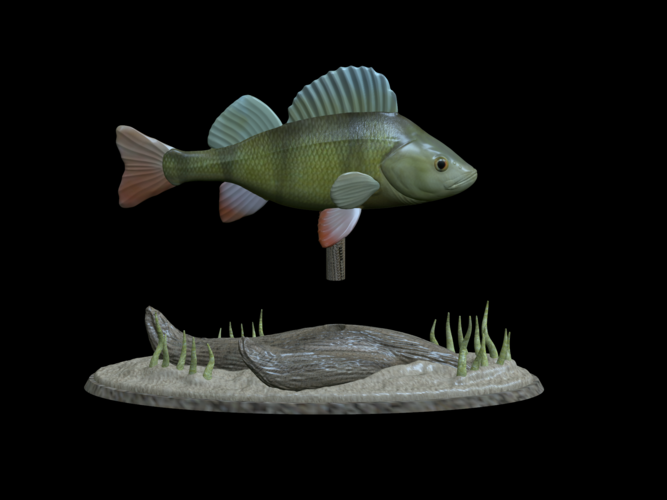 big perch underwater statue detailed texture for 3d printing  3D Print 517128